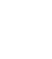 micro i-o 1